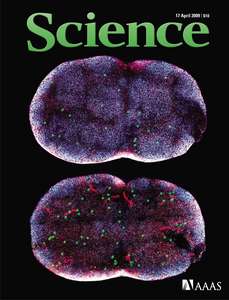 SCIENCE 5925 2009-04-17 (324)