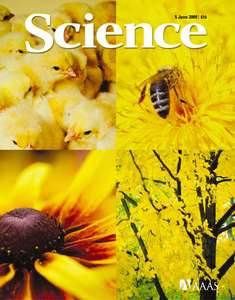 SCIENCE 5932 2009-06-05 (324)