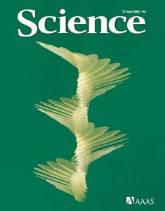 SCIENCE 5933 2009-06-12 (324)