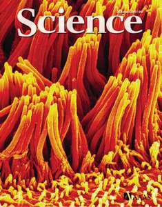 SCIENCE 5944 2009-08-28 (325)