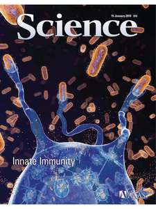 SCIENCE 5963 2010-01-15