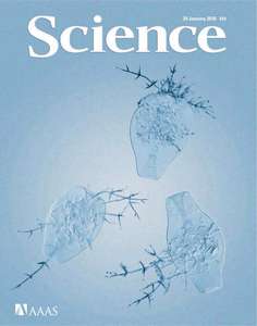 SCIENCE 5965 2010-01-29