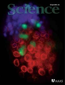 SCIENCE 5976 2010-04-16