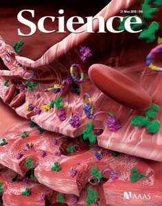 SCIENCE 5981 2010-05-21