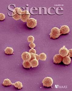 SCIENCE 5987 2010-07-02