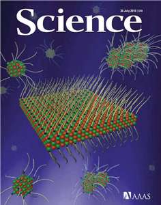 SCIENCE 5991 2010-07-30