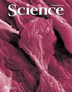 SCIENCE 5996 2010-09-03