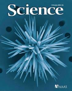 SCIENCE 6002 2010-10-15