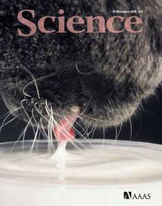 SCIENCE 6008 2010-11-26