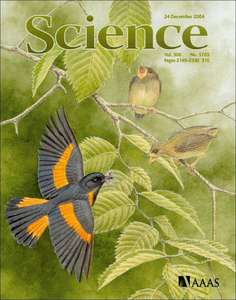 SCIENCE.MAGAZINE.5705.2004-12-24