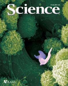 SCIENCE 6093 2012 07 27